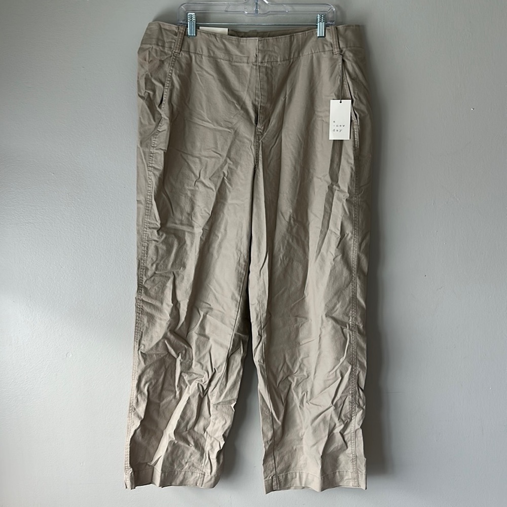 Women's Size 17 Tan Pant's A New Day